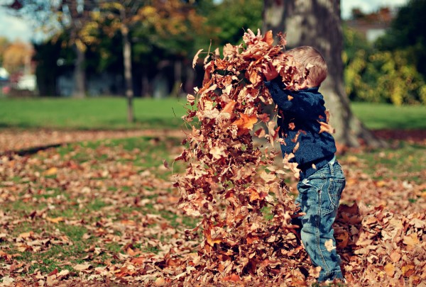 copil se joaca prin frunze