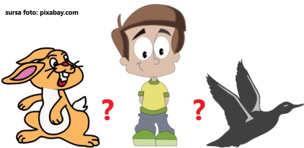 Exercitii de matematica