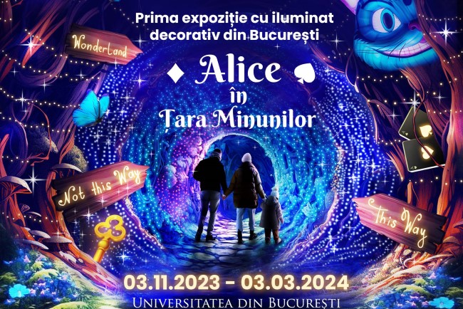 Expozitie cu iluminat decorativ