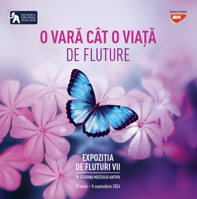 O vara cat o viata de fluture