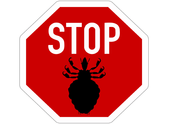 stop insecte
