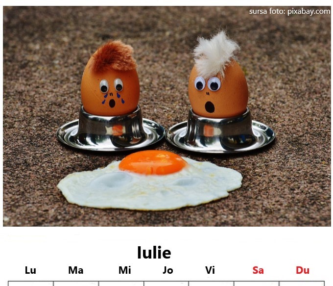 Sarbatori amuzante in iulie Sarbatori amuzante in iulie