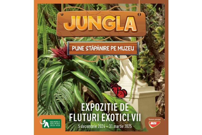Jungla pune stapanire pe muzeu