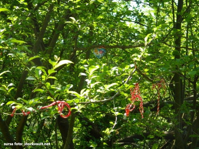 martisoare agatate in pomi