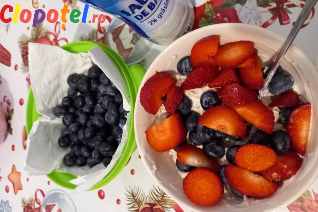 Ovaz cu fructe de padure