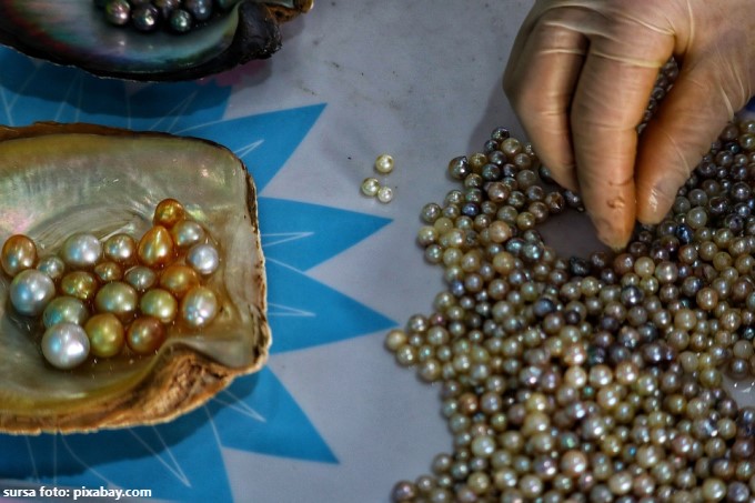 Perle de cultura - Vietnam Perle de cultura - Vietnam