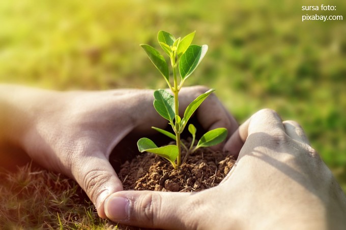 Grija fata de plante