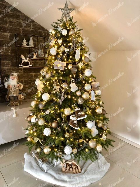 Brazi &icirc;mpodobiti &icirc;n culoarea auriu