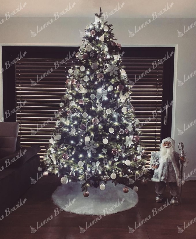 Brazi &icirc;mpodobiti &icirc;n culoarea argintiu