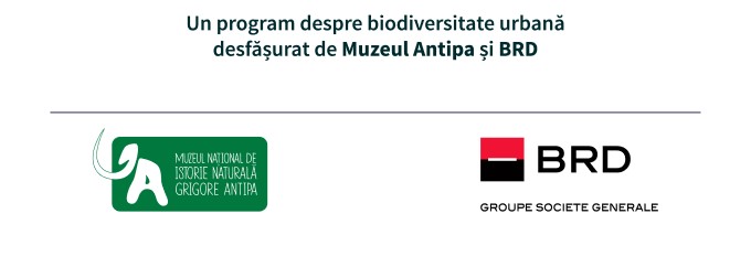 program despre biodiversitatea urbana