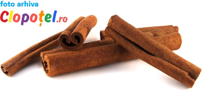 Scortisoara Scortisoara