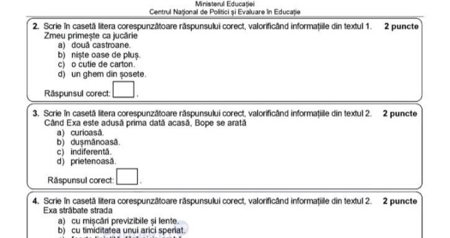 Subiecte Simulare Evalauare Nationala 2024