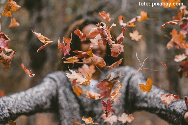 Bine ai venit vacanta de toamna!