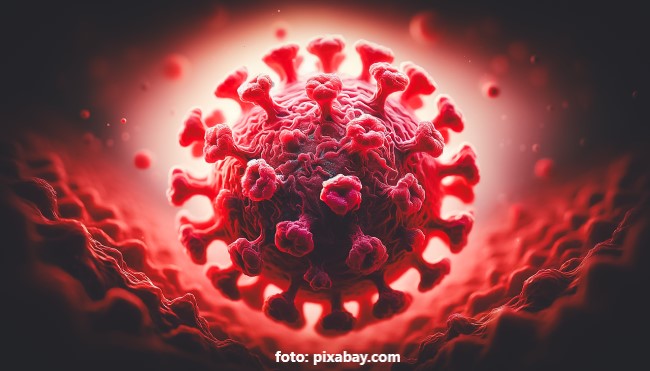 Virus - Coronavirusul Virus - Coronavirusul