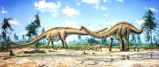 Diplodocus