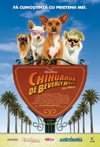 Chihuahua de Beverly Hills