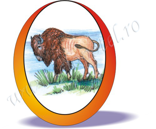 Bison