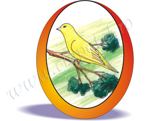 Canary