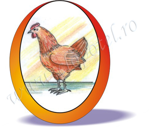 Poule