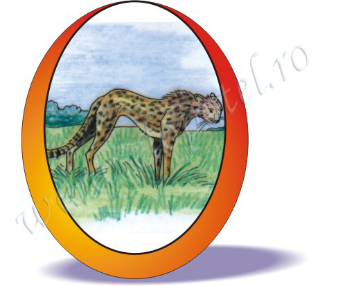 Guepard