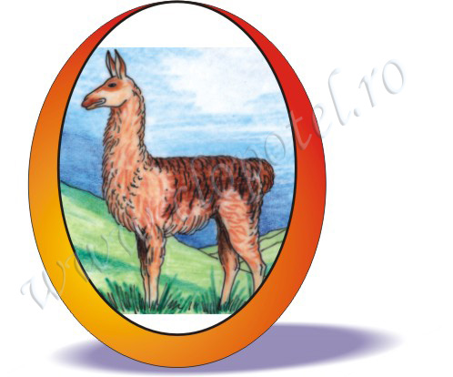 Lama