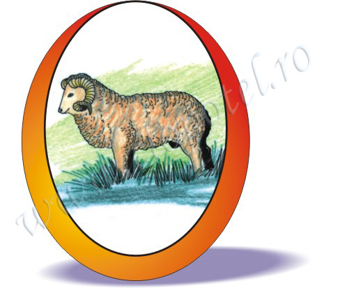 Merinoschaf; merino