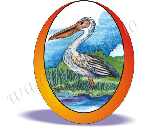 Pelican